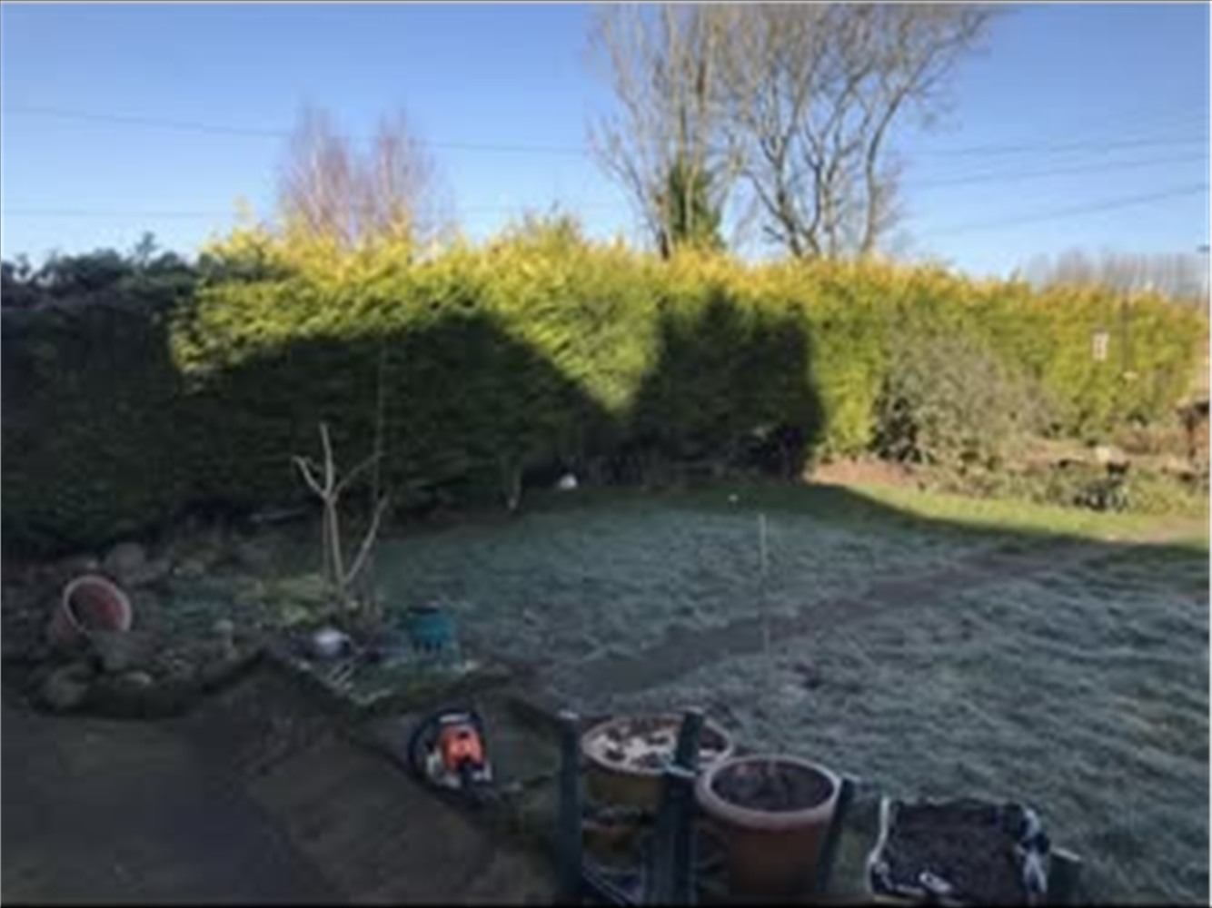 Cheddleton garden before the large hedge was removed, with the hedge and overgrown lawn visible