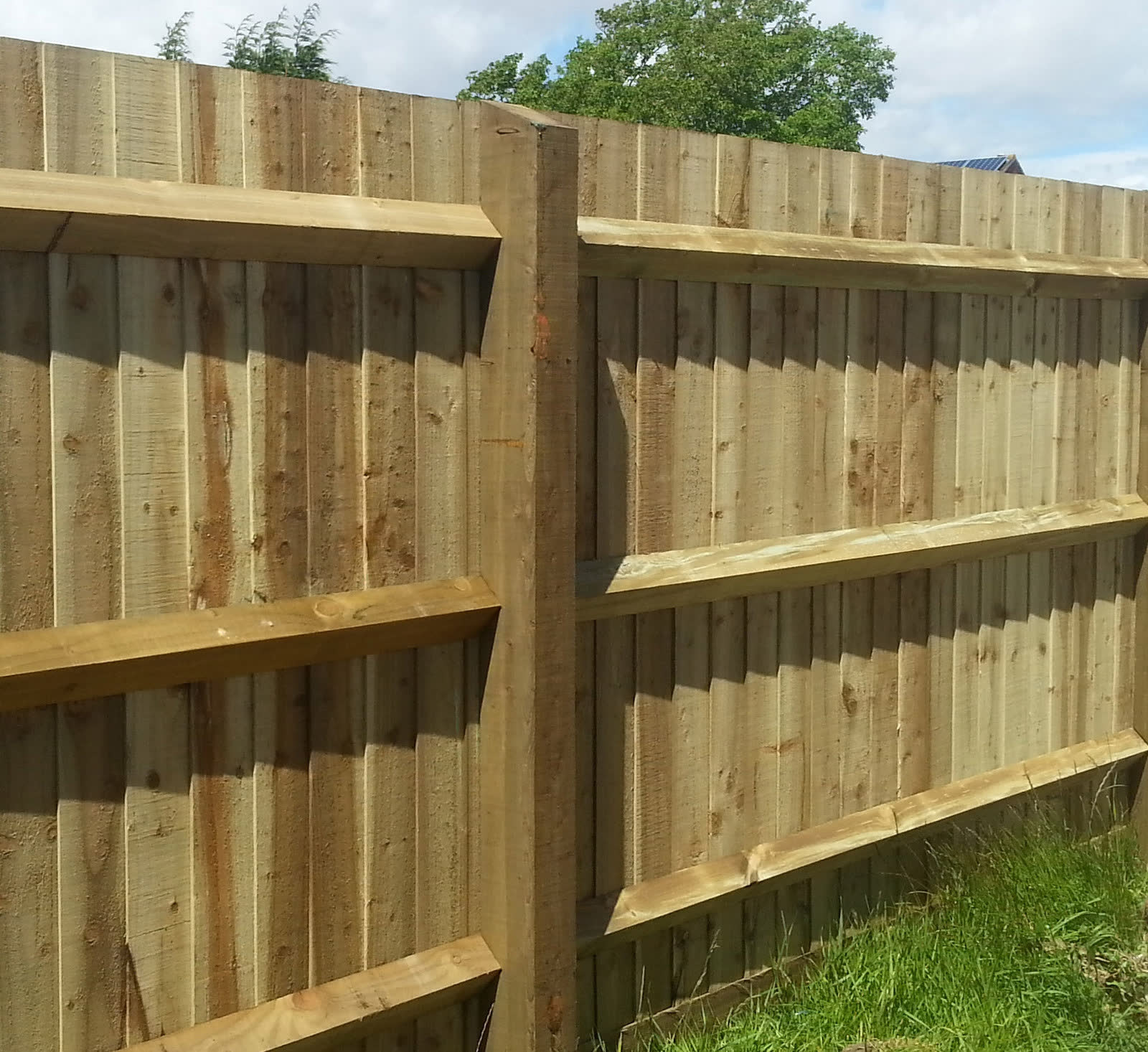 Wooden fence running behind a garden